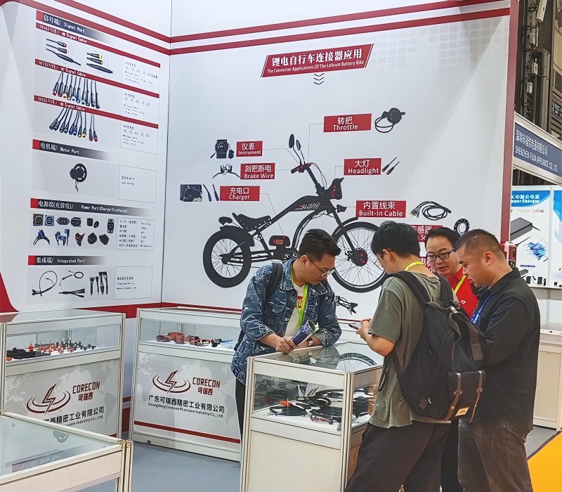 Cooperation with a Well-Known Consumer Electronics Brand